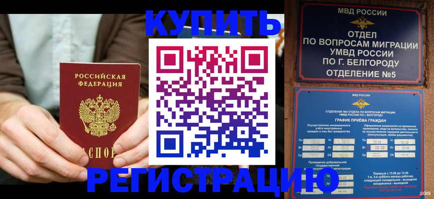 прописка 2025 в Каргополе